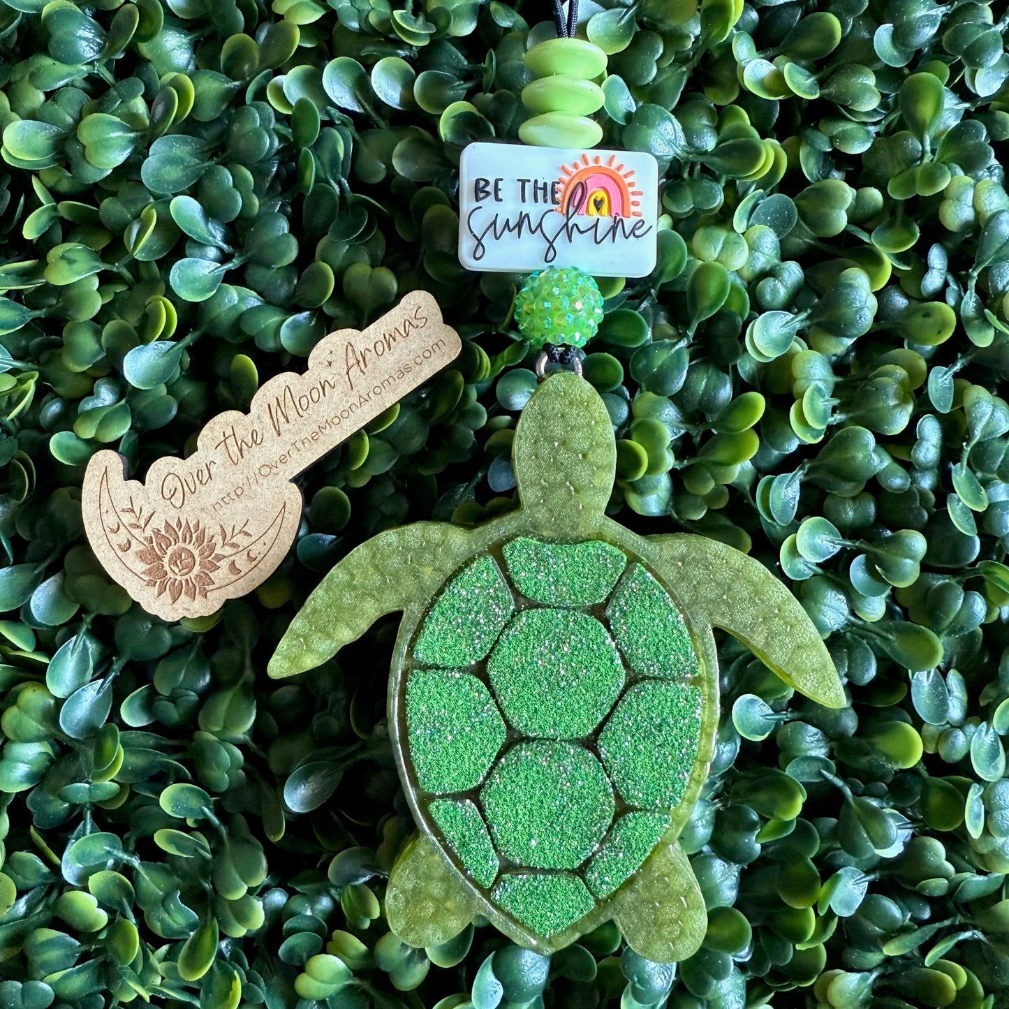 Sea Turtle